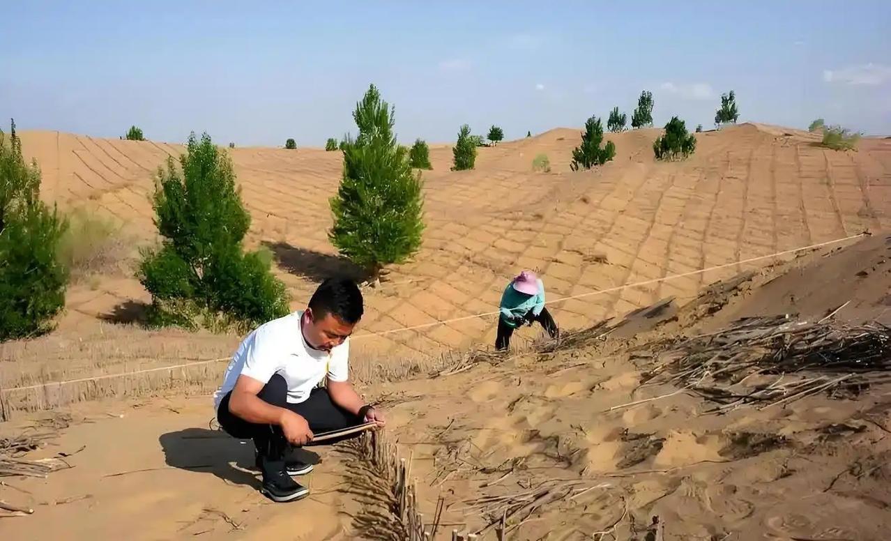 196国代表齐聚蒙古，中国分享宝贵治沙经验，反观美国，全程只会捣乱。联合国防治荒