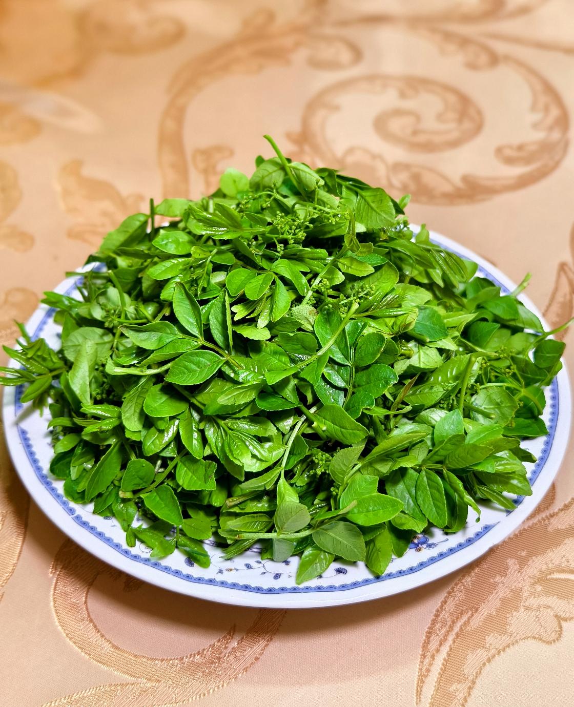 今儿个还吃花椒芽，猜猜怎么吃？[笑]