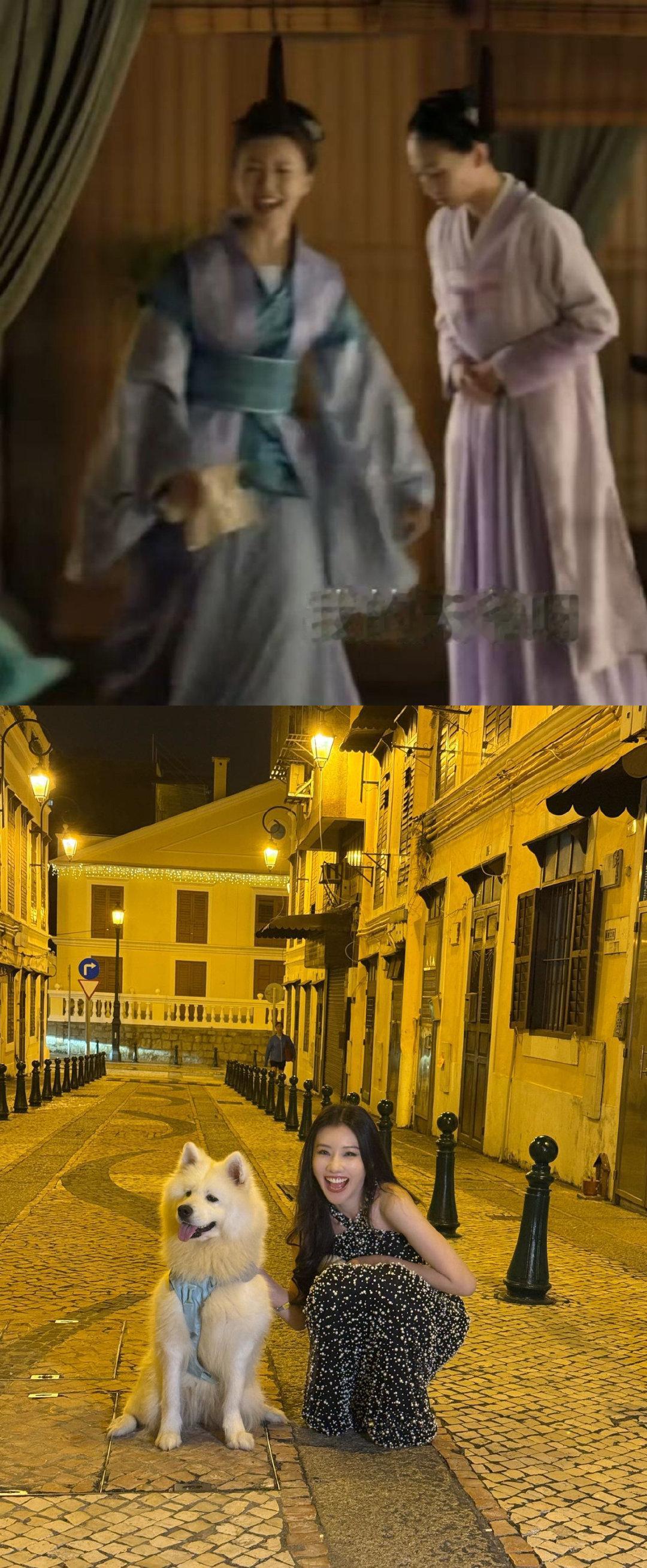 王鹤润这段像华兰见到鬼热闹王鹤润尖叫之夜活动 下班途中遇到萨摩耶欢喜得不得了，这