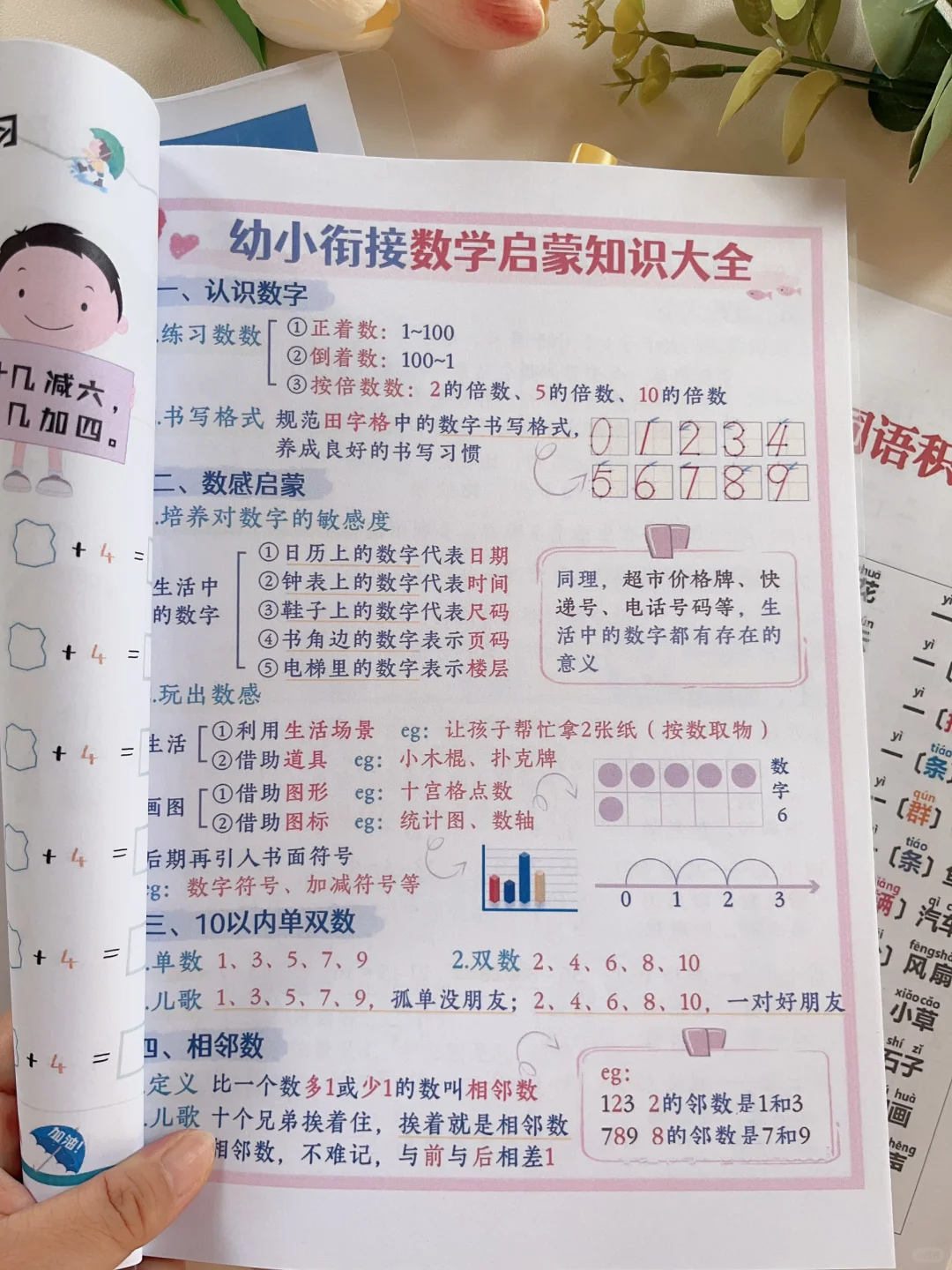 幼小衔接数学启蒙知识，鸡娃赶快进