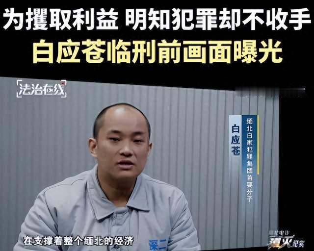 三次拒绝谈判终遭清算！缅北四大家族垮台，刑场、器官黑幕被揭开
