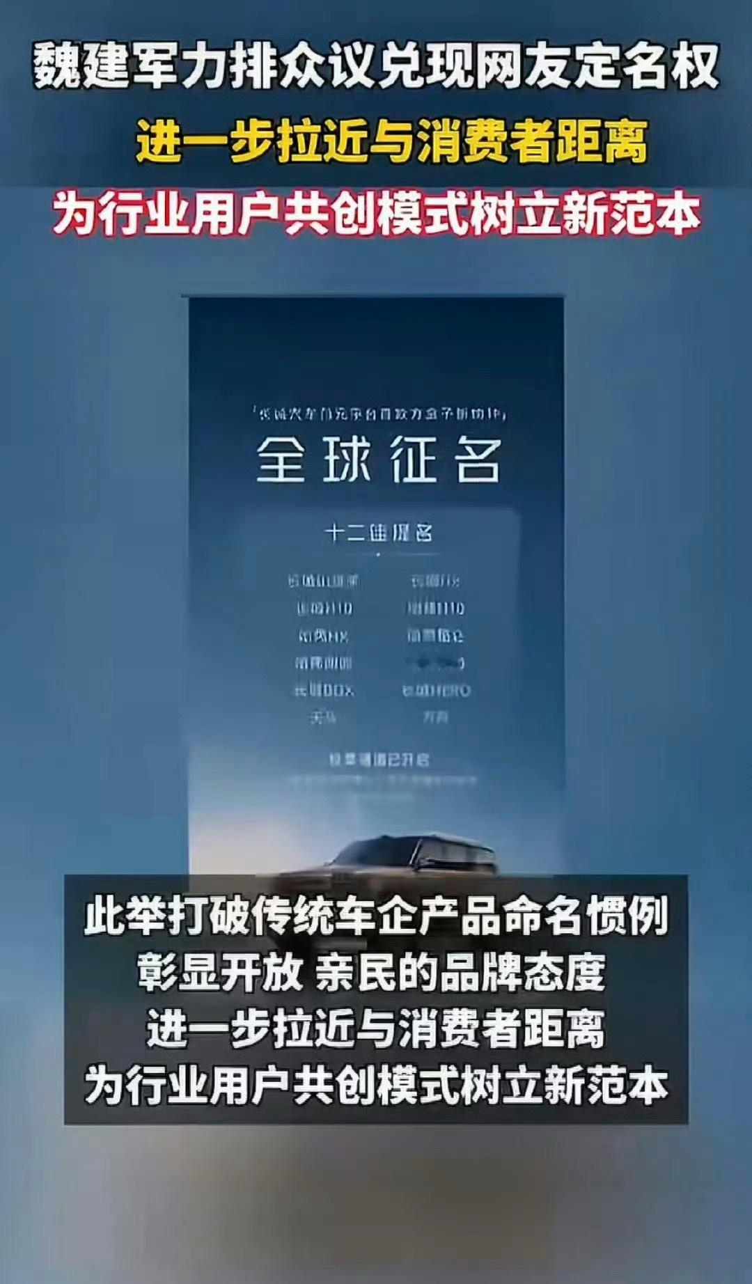 魏建军力排众议兑现网友定名权 内部吵翻，网友定音！魏建军说到做到，采纳全民投票，