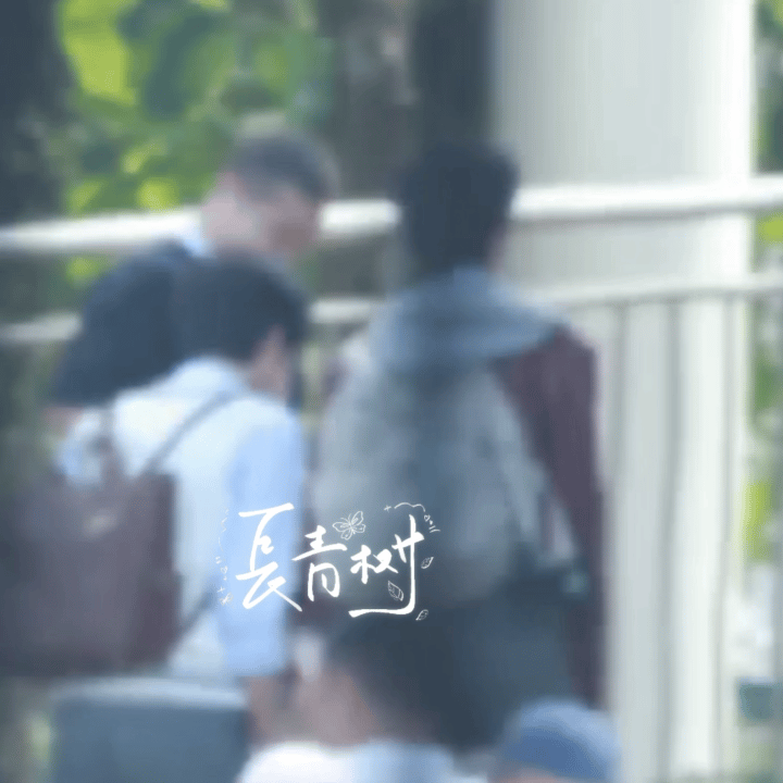 桂瑞 2.0 所以这真的就是他俩的日常相处模式啊 