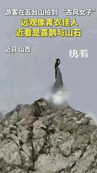 不可思议！五台山偶遇奇妙一幕，远远望去山石上竟站着一位青衣女子，走近一看直接让人