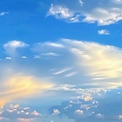 阳光信用熊猫守护者 🌿阳光信用 每日一善 心存善念,阳光就会照耀你;心存美丽,