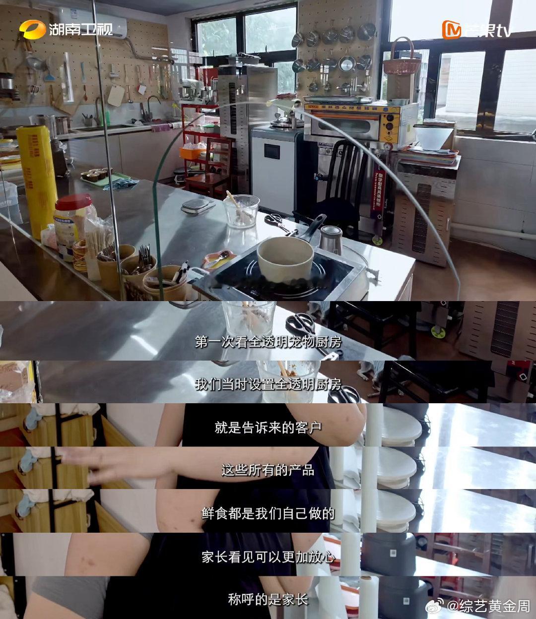 长沙全透明宠物厨房太超前了 寻访外省来湘年轻人纪实录你好湖南 你好湖南 千平宠物