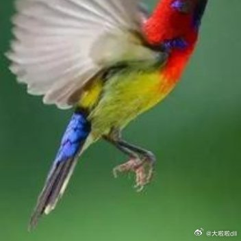 揣着一口袋的开心满载而归，还有定格春天的味道 