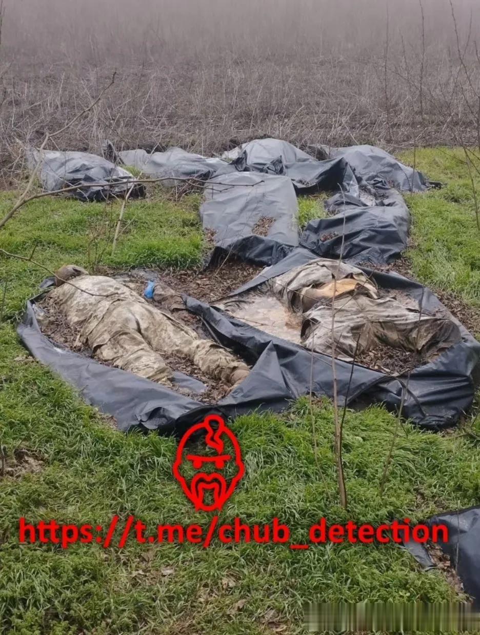 （图一二）俄乌战场，被春节雨水泥水浸泡了的乌军阵亡士兵遗体，也不知摆放了多长时间
