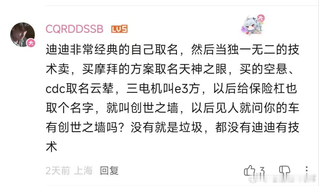 不知道想表达什么，有的厂家玄幻名字的技术是比迪厂更有技术还是怎么旳，不见你说道说