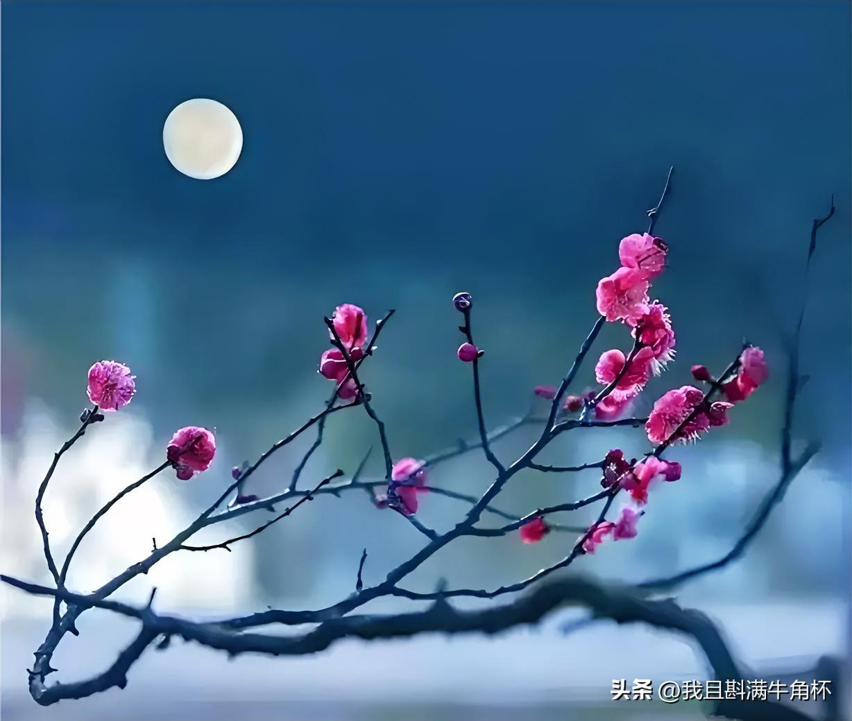 上联：城外桥边梅影瘦
下联：有请雅士[玫瑰][玫瑰][玫瑰]