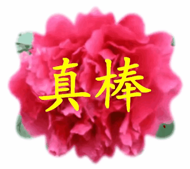 看来铁友非常看重这些宝贝，虽然国家没接收但能看出你的赤胆忠心了[赞][赞][赞]