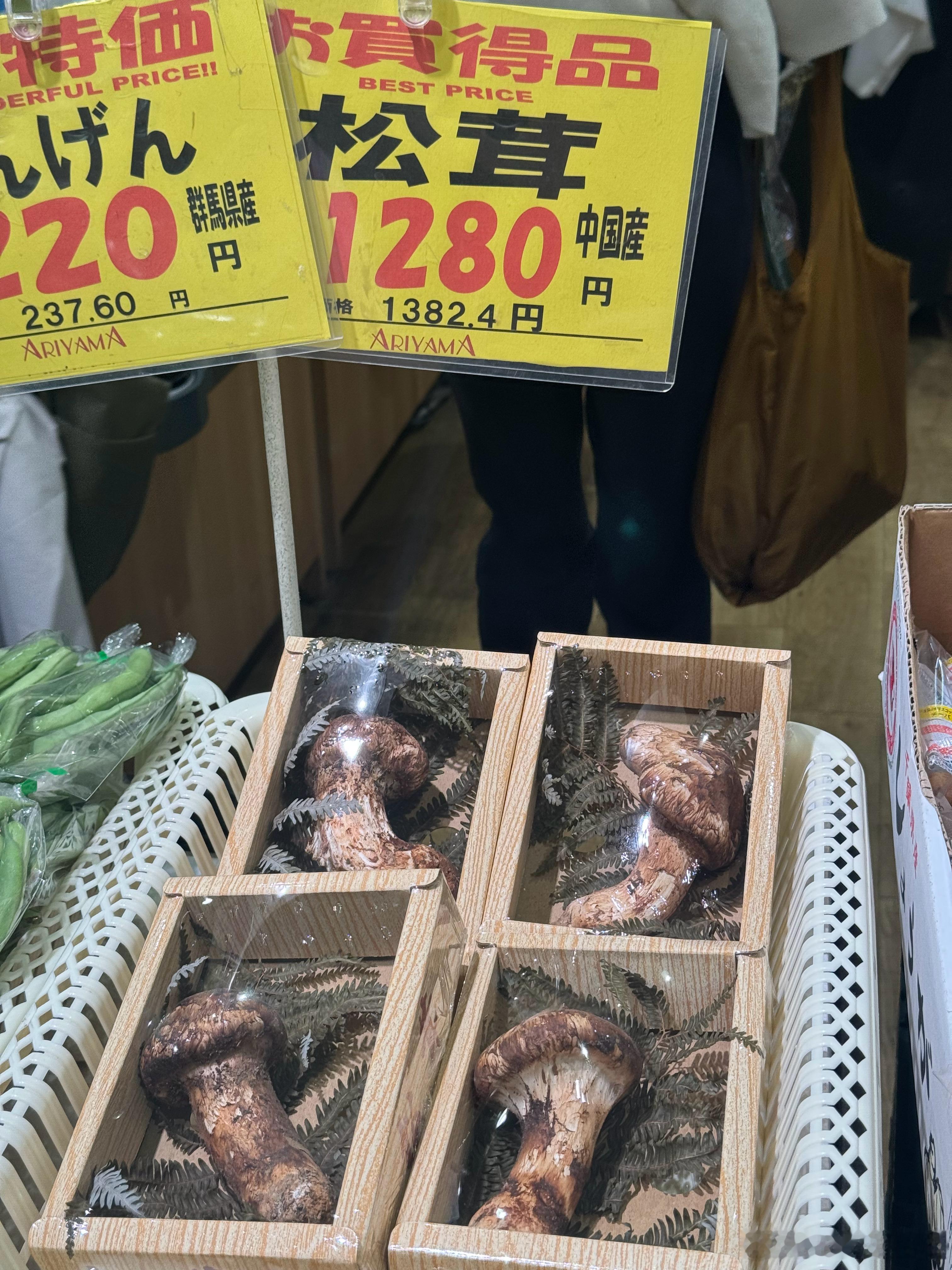 日本人钱真好忽悠[二哈] ​​​