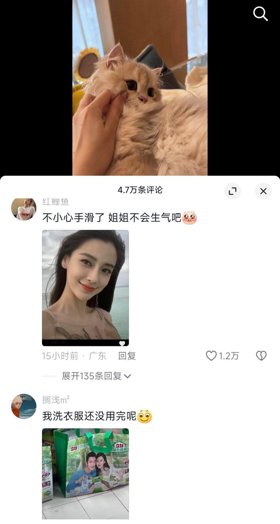 乖乖嘞，我去叶珂评论区看了一眼，清一色杨颖的图[允悲] ​​​