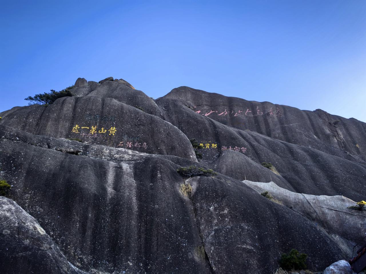 🌷🌷
    爬山时腿在抗议，登顶后眼在天堂。黄山的魅力就在于，身体在地狱，