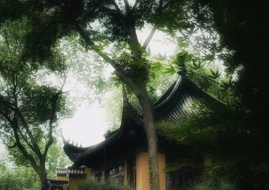 男人出轨后伴侣双方经常出现的一种状态是，一个人很痛苦，不断的的用对方的出轨来折磨