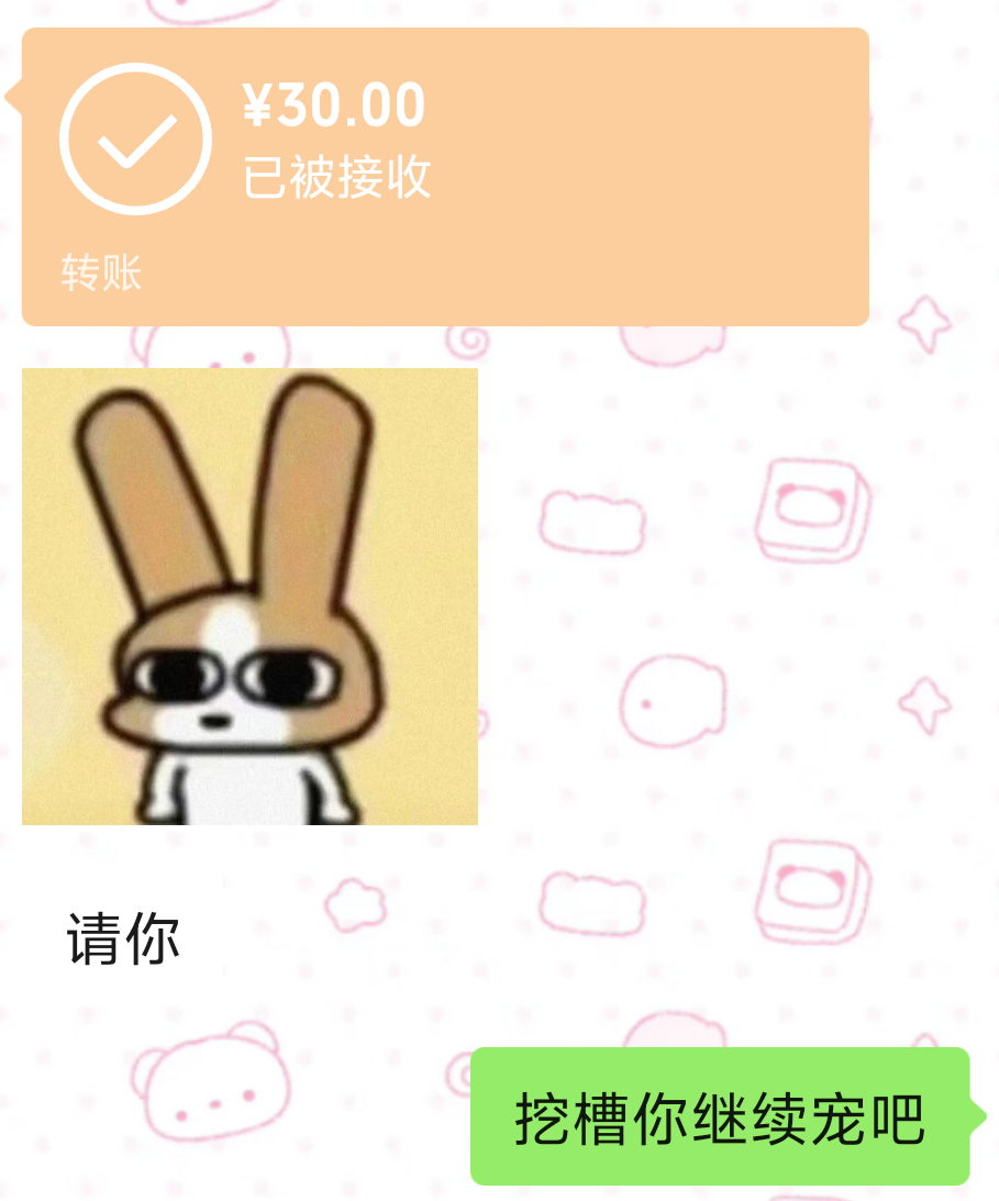 我家荷兰猪依旧狠狠宠爱 