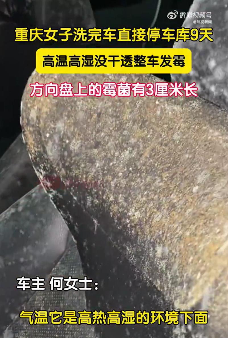 洗车9天就发霉成这样，霉菌清理完估计车里的味道还会一直在，有点惨[泪奔]女子洗车