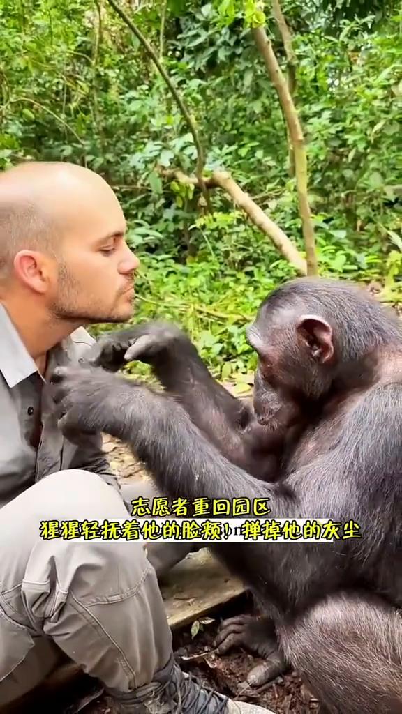 当小动物与儿时救助过自己的人类父母重逢，思念之情瞬间如潮涌无法控制自己。
·一眼