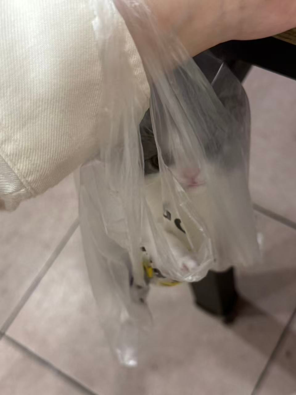 打包 
