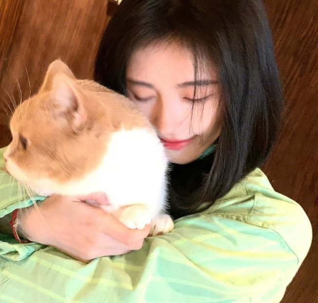 猫咪🐱大团来了~鞠婧祎