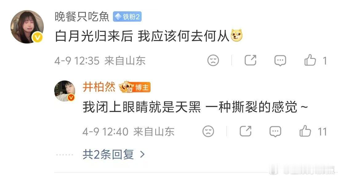 井柏然好会演井柏然的演技真的肉眼可见在进步！从青涩到成熟，每一次角色塑造都有新惊