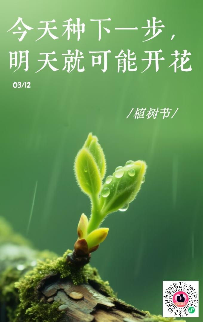 今天种下一步，明天就可能开花！🌱🌸