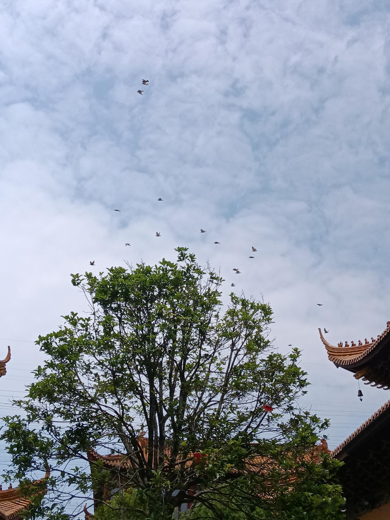 这么说或许会让一些人感到疑惑，难道就没有放之各时代皆准的善恶标准吗？其实是有的，