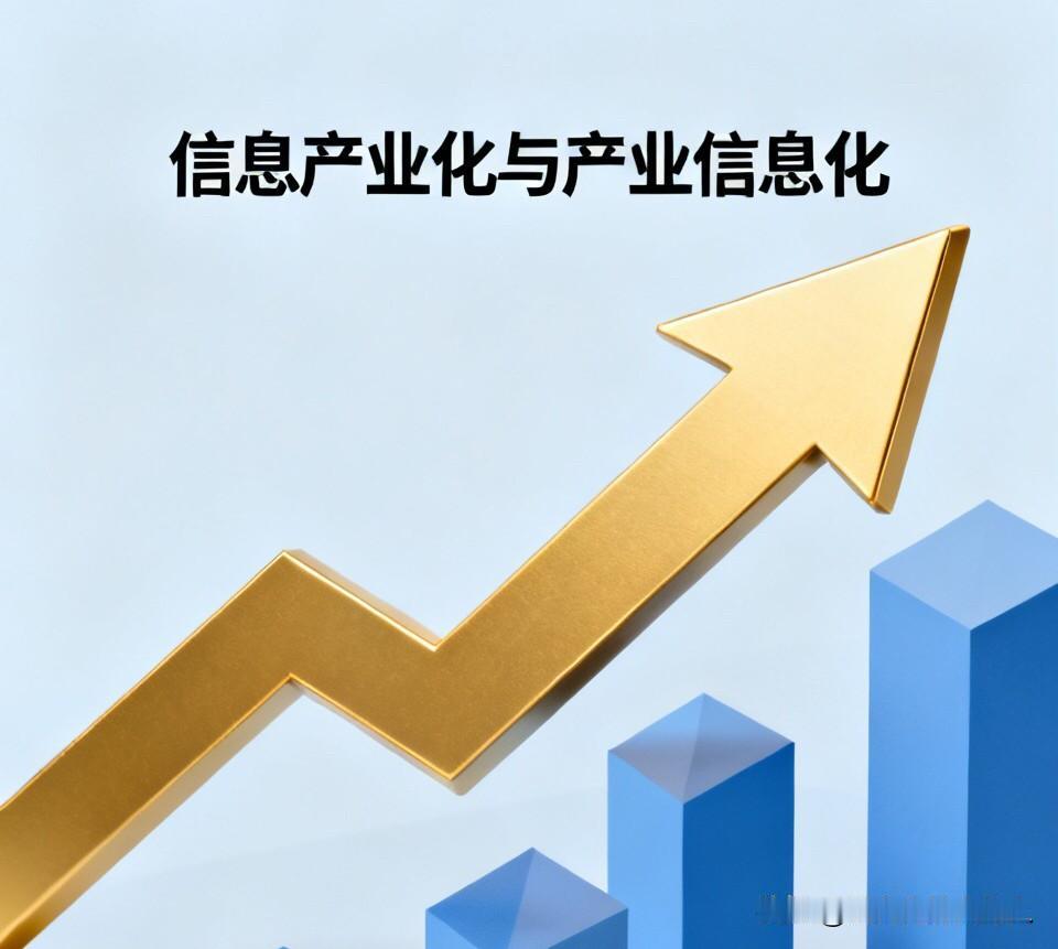 卢麒元先生提到黄金收之后，要转向信息产业化、产业信息化。结合多年信息化行业经历，
