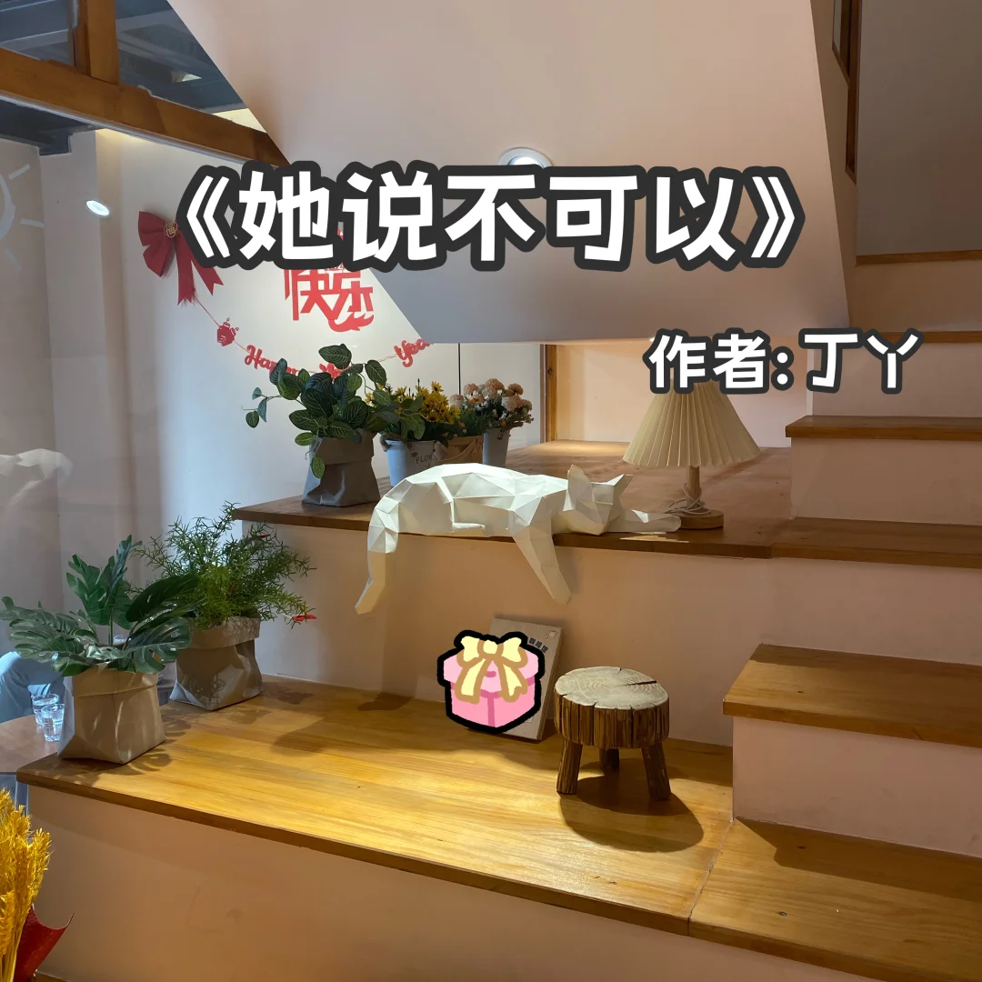宅家小说｜职场姐弟恋《她说不可以》