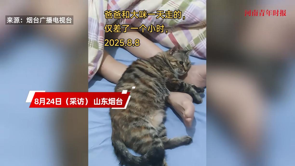 “万物皆有灵！”8月8日，山东烟台，一位老人因病离世后，仅仅过了一个小时，一直很