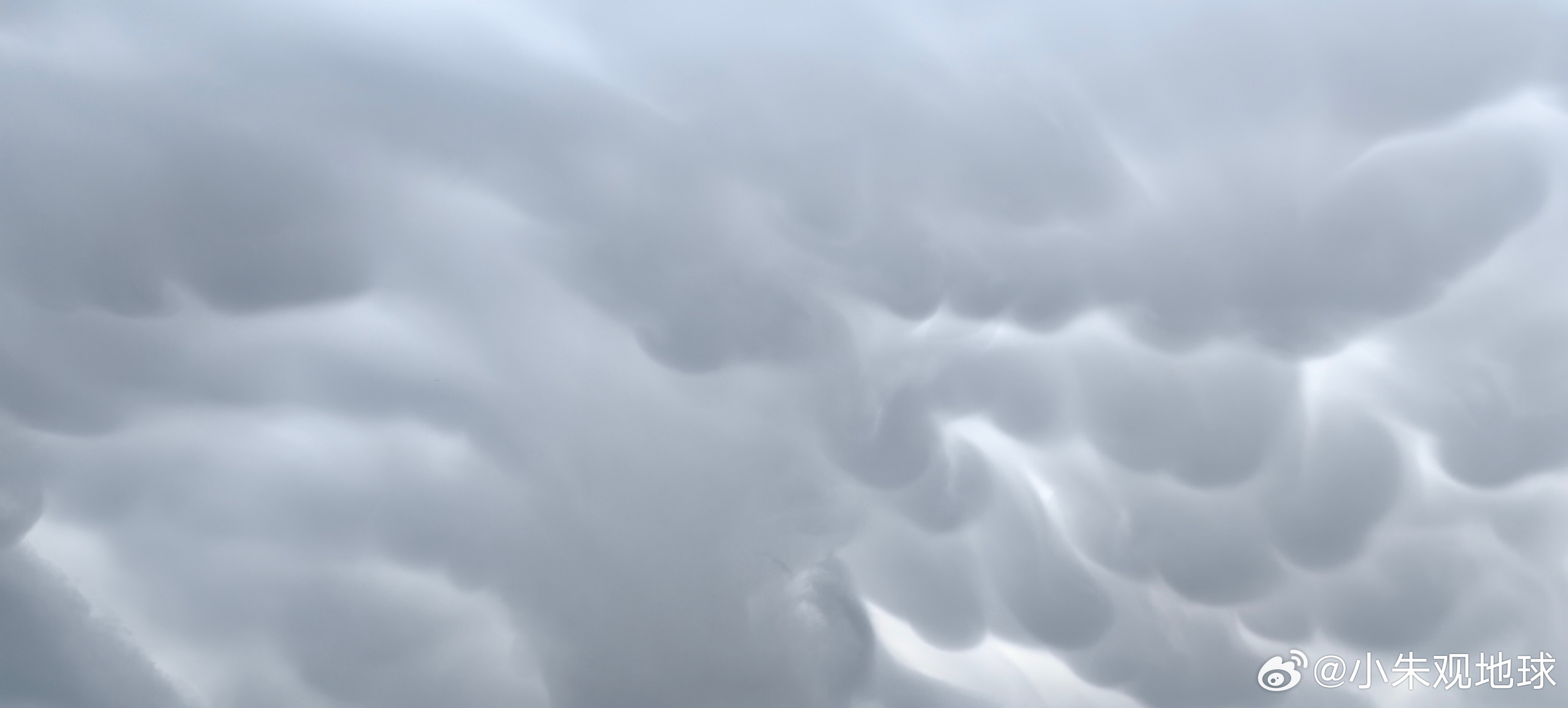 又又又又又要下雨了 