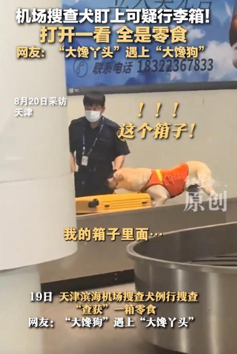 万万没想到！天津，一女子过机场安检时，搜查犬突然盯上她的行李箱，开始疯狂嗅探，工