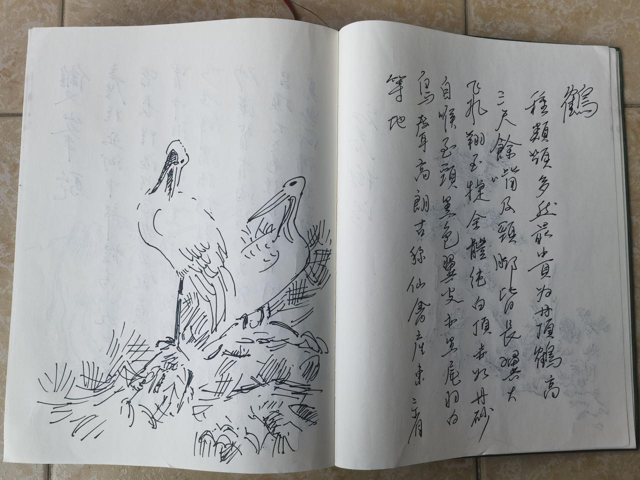 最近有闲又操弄起笔画画，这是青少年时期的最爱！为了生存，不得不去追赶高考的步伐，