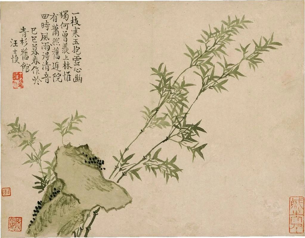【花卉图册】汪士慎 ​​​