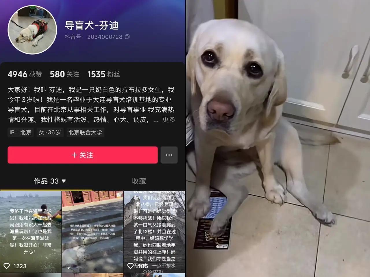 终于搞明白了！
明明夫妻俩都是盲人
却能够剪视频、发文案，甚至把粉丝都都做到了1
