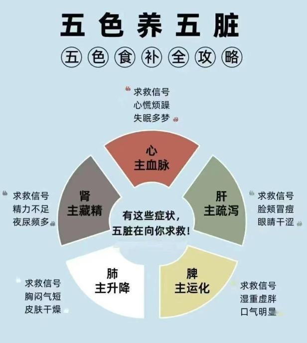 五脏的保养

1⃣️养肝多闭眼睛，晚上11点之前一定睡觉。肝好气色好。

2⃣️
