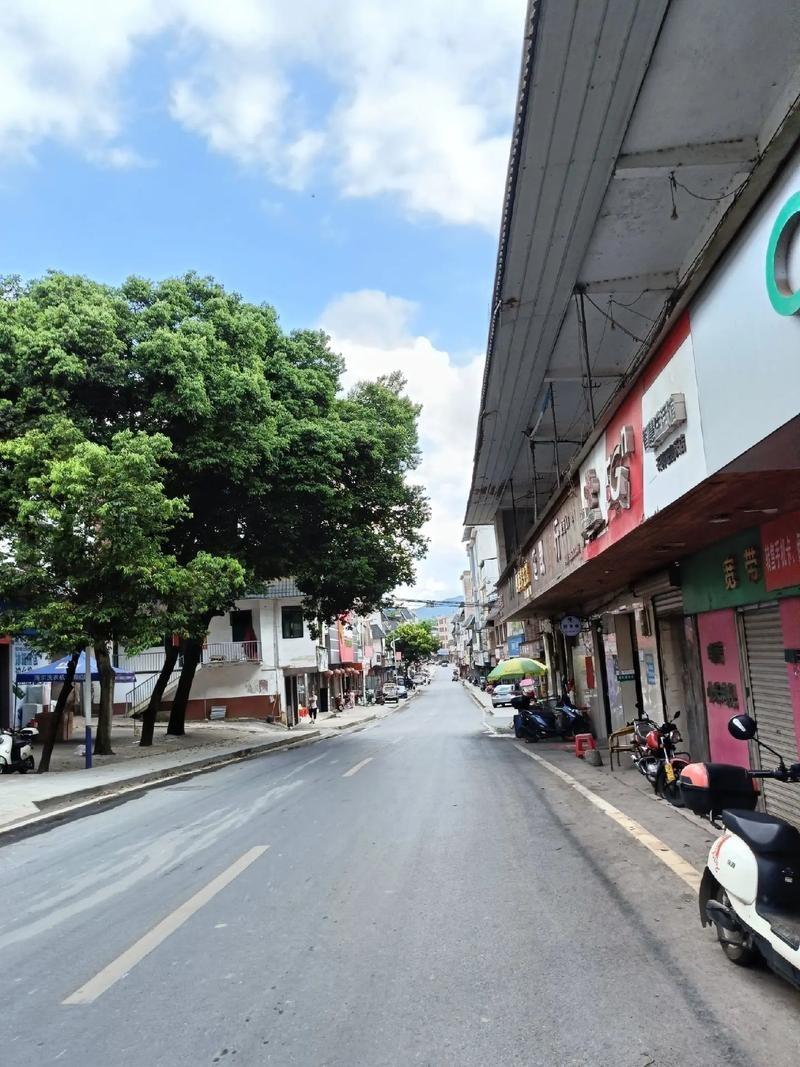 十多年前吧，那会儿我们镇上有个副镇长，姓周，在那一带名气大得很，人送外号“酒神”