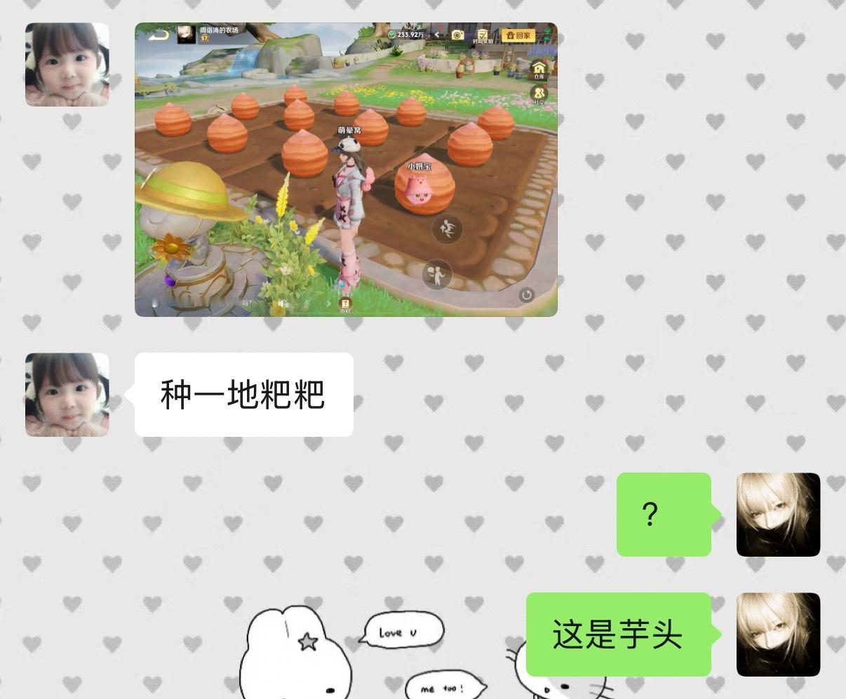我朋友说我种的芋头是粑粑