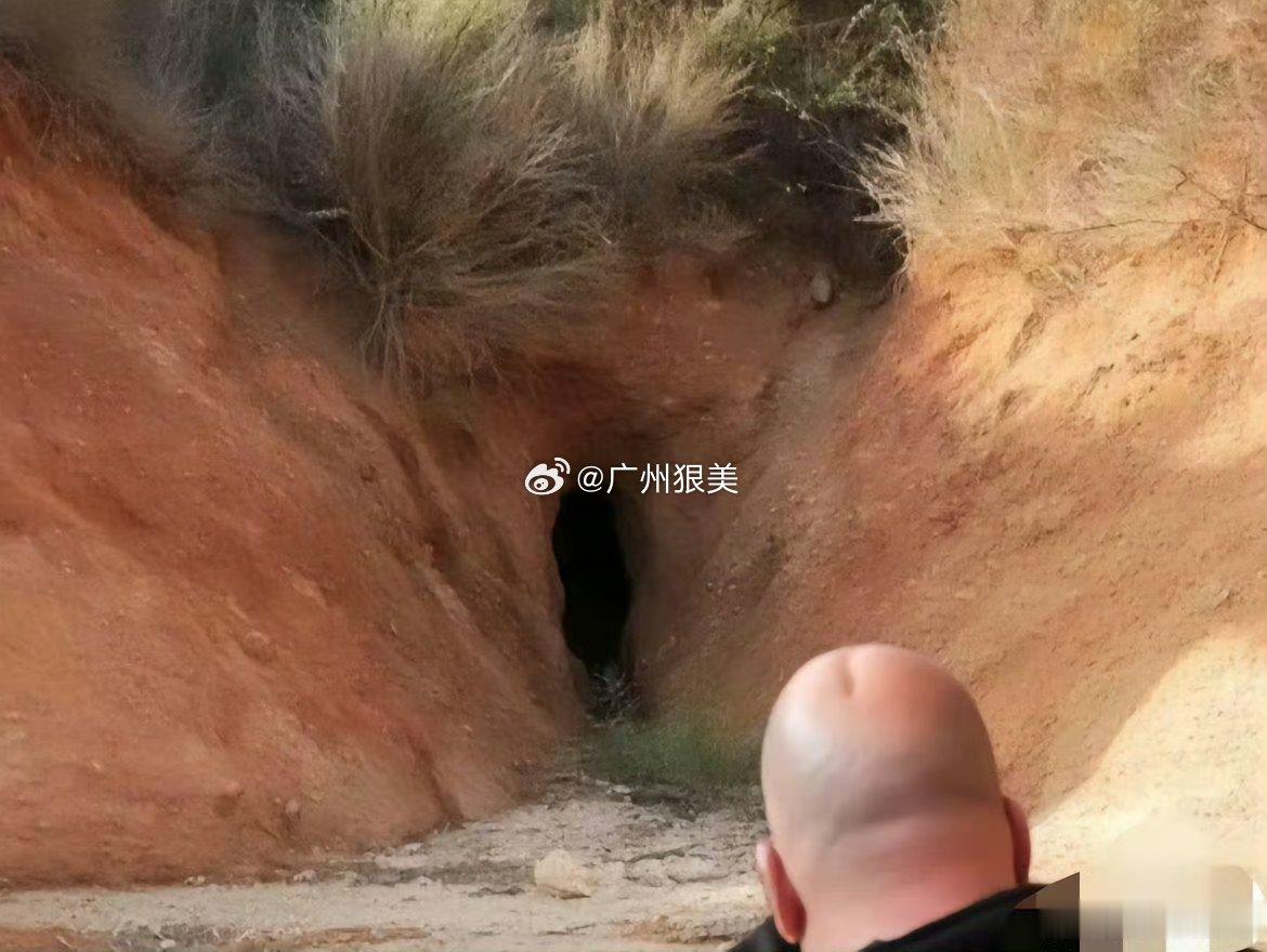 都说男人聪明绝顶，不知道这位光头站在这幅画面前！这才是真正的“脑洞大开”[笑cr