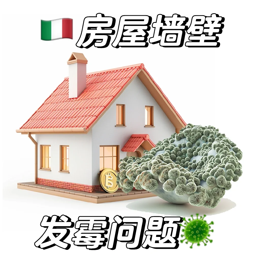 🇮🇹房屋墙壁发霉怎么办？