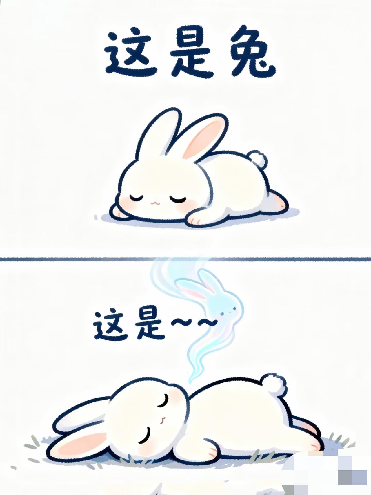 生肖谐音梗（NO.142）
谐音梗猜谜语＃脑筋急转弯 脑洞大开 ＃离谱但合理＃合