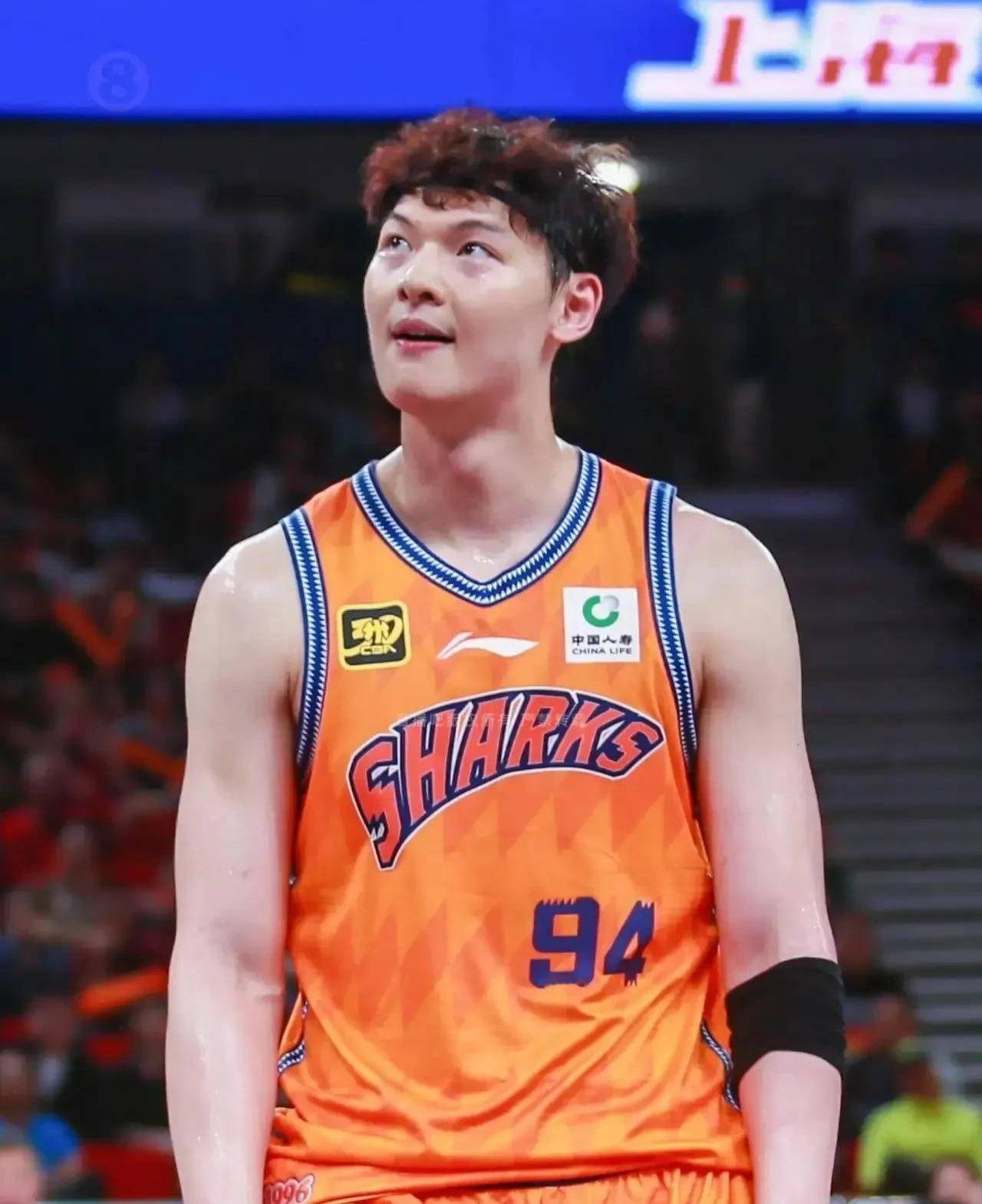 王哲林身上有种特别的气质，阳刚中带着几分阴柔，这种混合气质在篮球运动员里确实不多