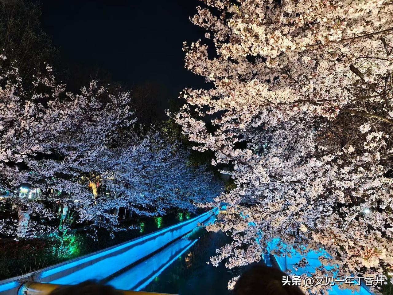 不是张雪峰会利用焦虑，而是现实社会选择了他

昨天因为有人不厌其烦的在微信群里声