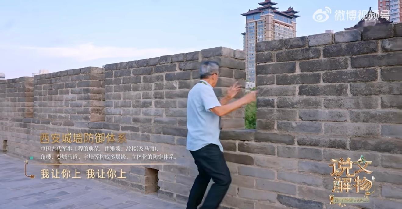 72岁解说员日均暴走一个半马 72岁杨建的日常：一天三登大雁塔，三万步抵半马，2