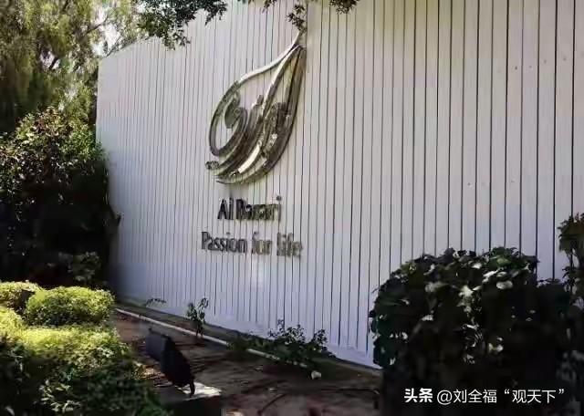 2026最想实现：构建“AI+人文”的社区韧性网络  

在2026年，我渴望打