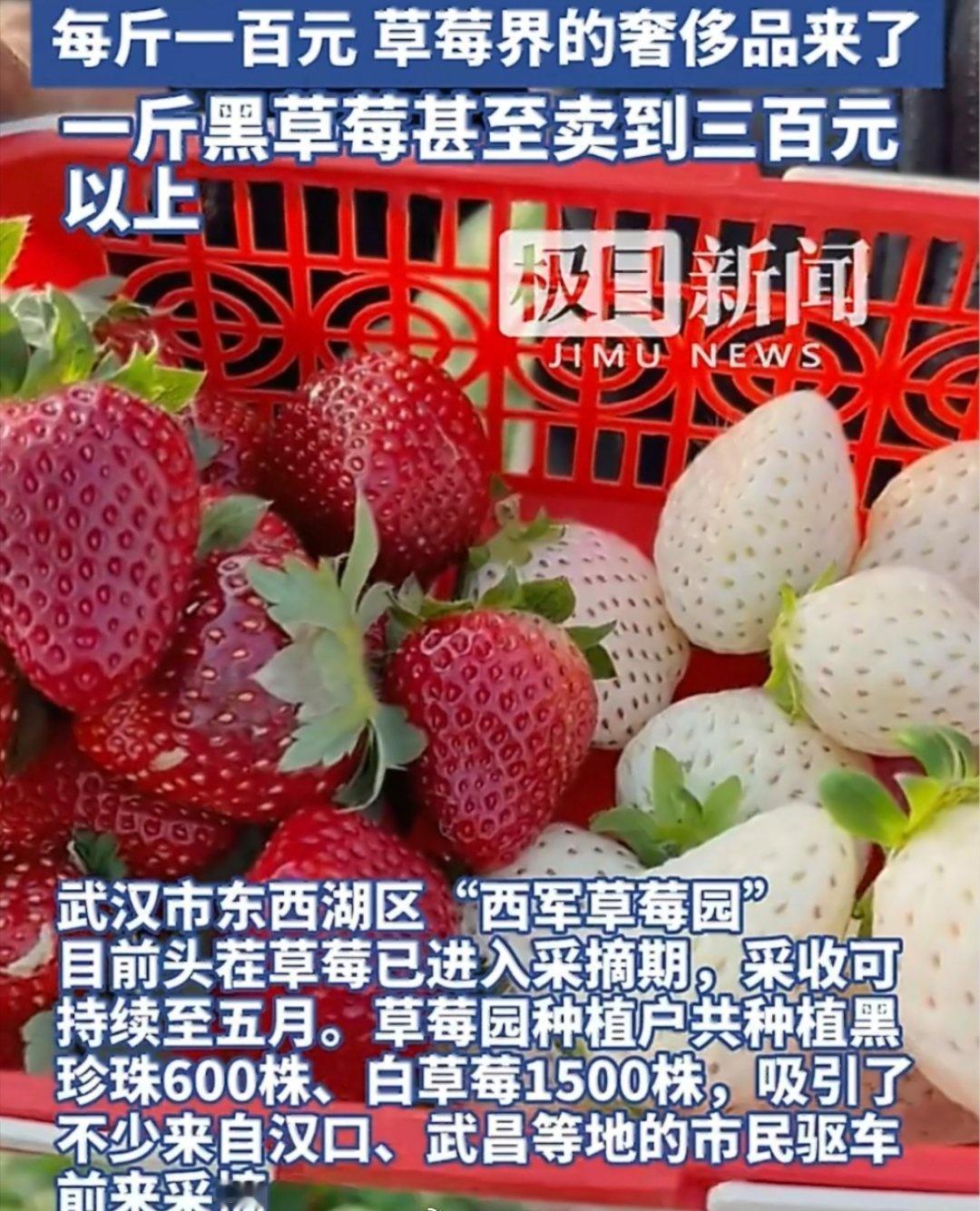 当水果的价格主要不体现于营养与口味，而取决于其承载的“故事”与“阶层感”，购买行