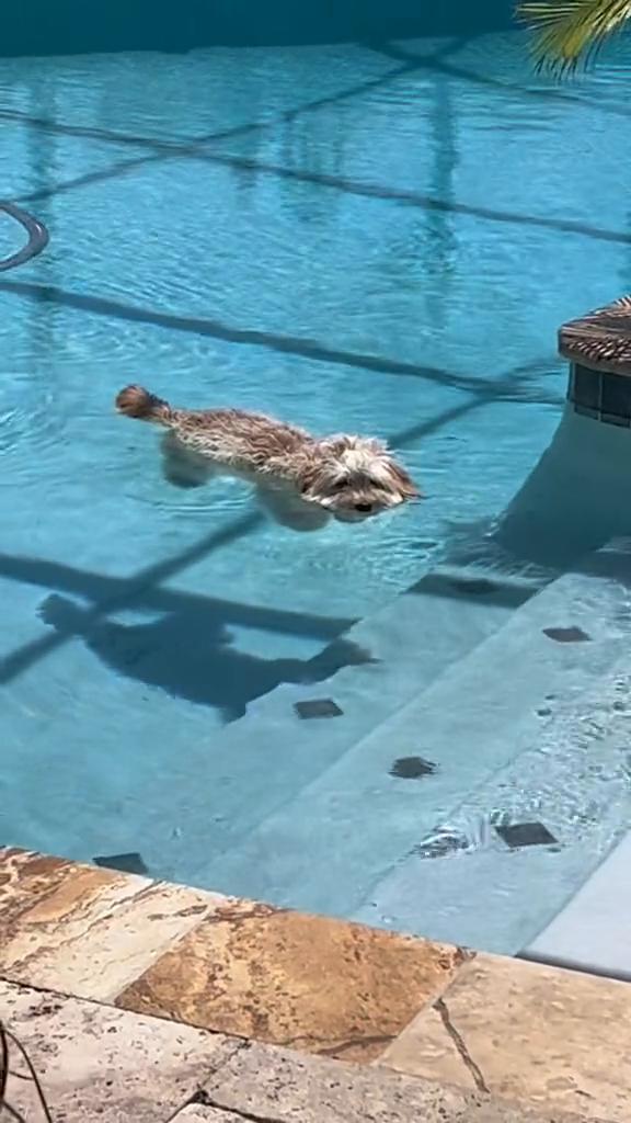 look at her just falling，she got a tube 