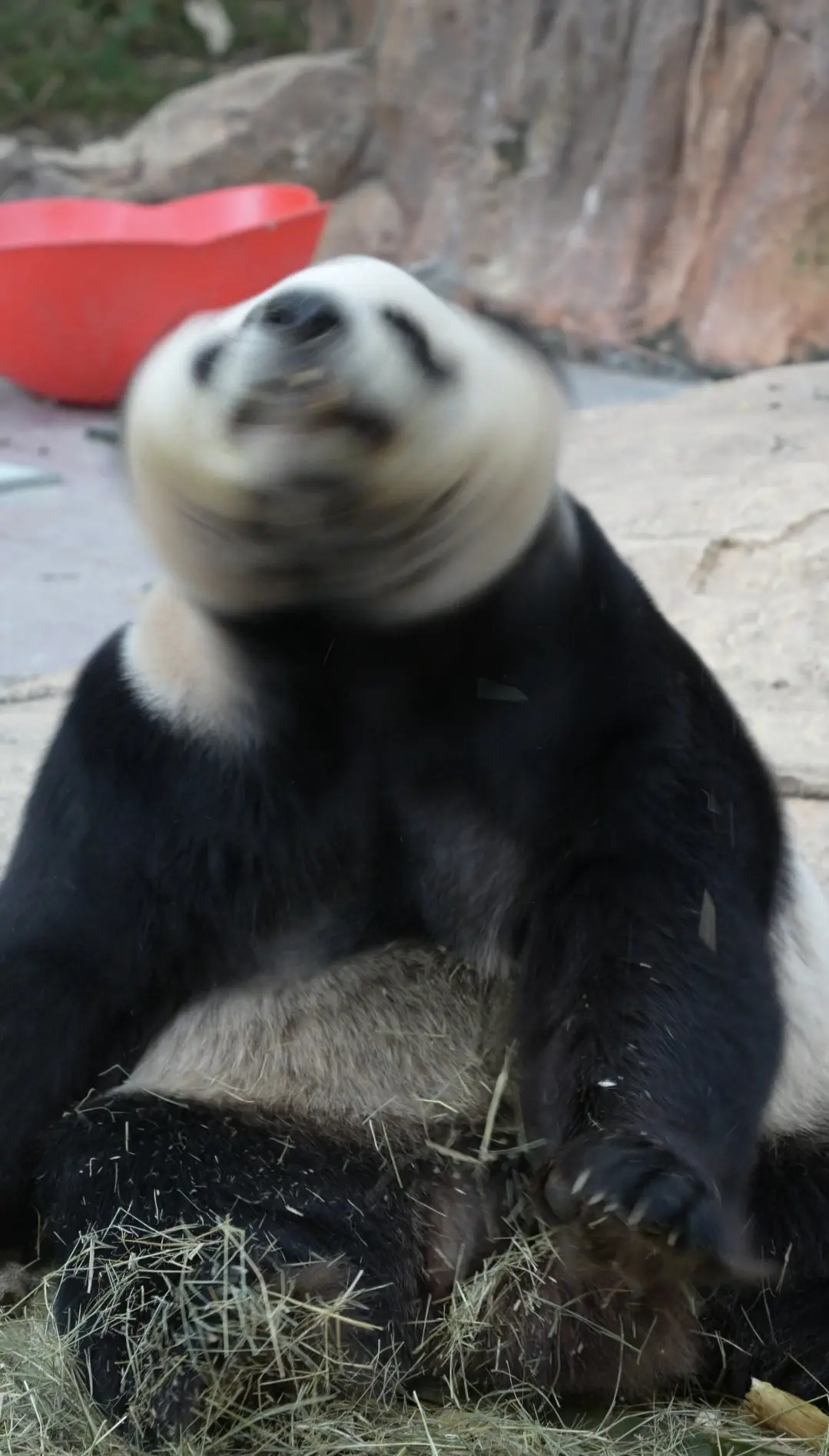 酷酷:这不是我！（我对唔住酷仔，难得去一次，影嘅都系黑照，距点fing...