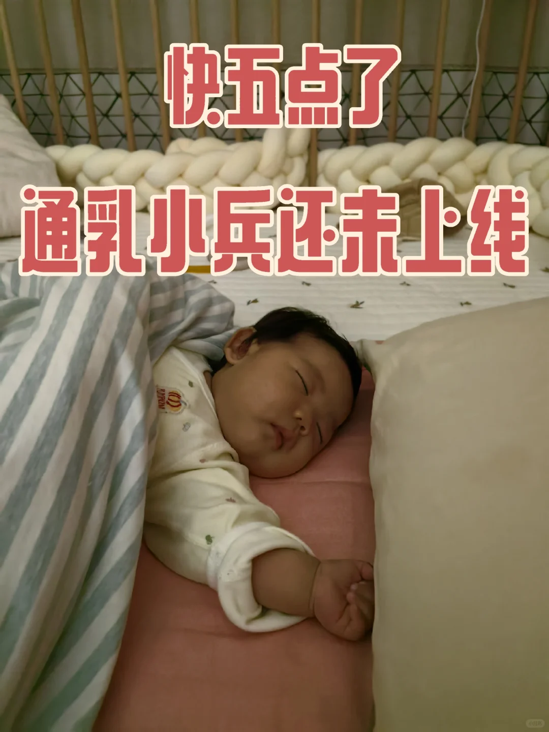 睡着的人类幼崽