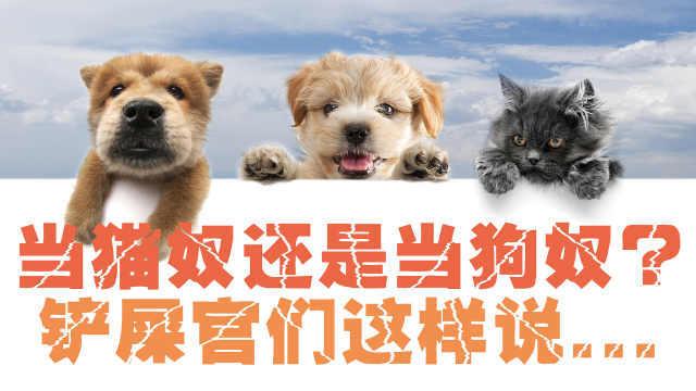 养狗最大的悲哀是什么？就是把自己养成狗。
狗是宠物，是为人服务的，这是养狗的前提